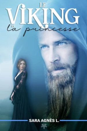 Le Viking et la Princesse