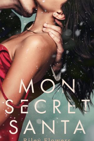 Mon secret Santa