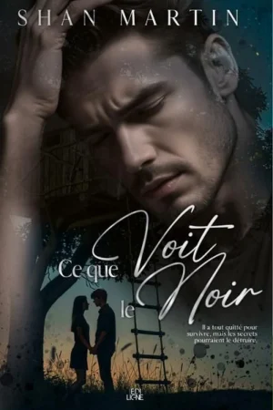 Ce que voit le noir